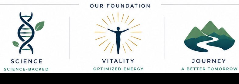 Longevity Optimization brand foundation